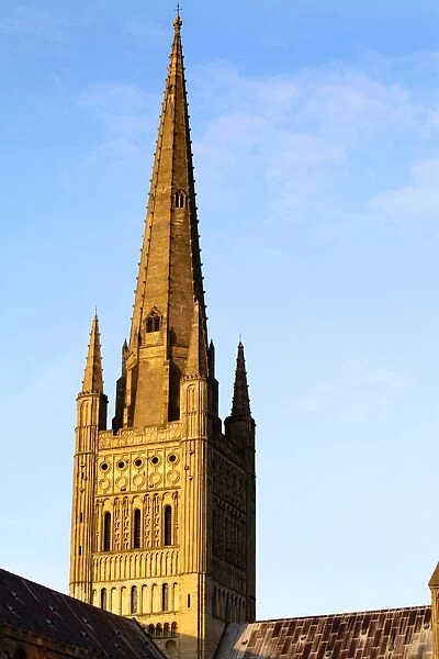 Norwich Cathedral tower and spire at sunset, Norwich, Norfolk, England, United Kingdom, Europe