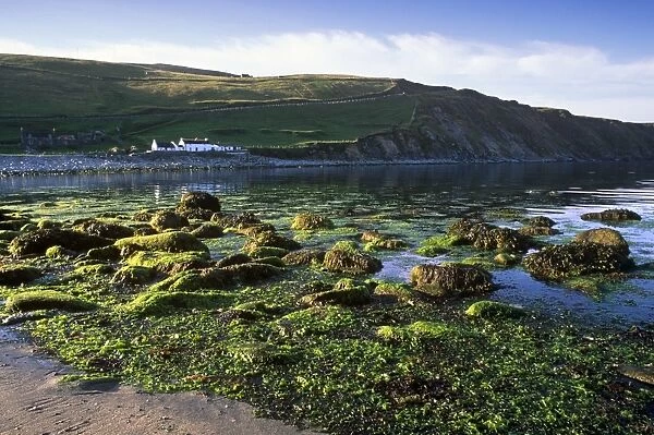 Norwick Beach and house, Unst, Shetland Islands, Scotland, United Kingdom, Europe