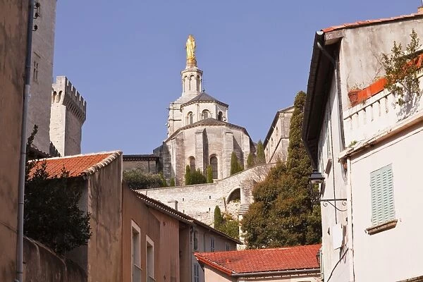 Notre-Dame des Doms d Avignon cathedral from the small streets of the city, Avignon, Vaucluse, France, Europe