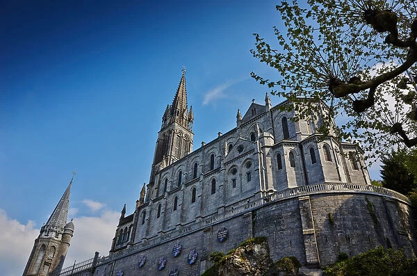 Notre-Dame du Rosaire Basilica, Lourdes, Hautes-Pyrenees, France, Europe