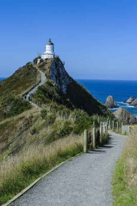 Framed Print : Nugget Point Lighthouse, the Catlins, South Island, New Zealand, Pacific Framed Print : Nugget Point Lighthouse, the Catlins, South Island, New Zealand, Pacific