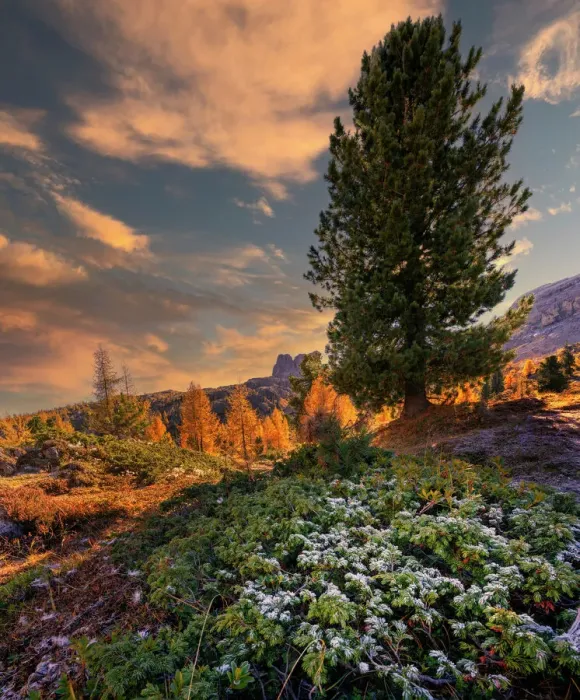 Framed Print : Nuvolau in autumn, Falzarego Pass, Dolomites, Veneto, Italy, Europe Framed Print : Nuvolau in autumn, Falzarego Pass, Dolomites, Veneto, Italy, Europe