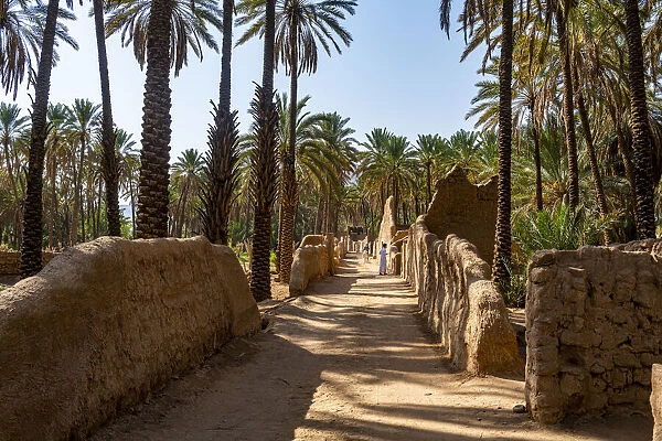 Oasis of Al Ula, Kingdom of Saudi Arabia, Middle East