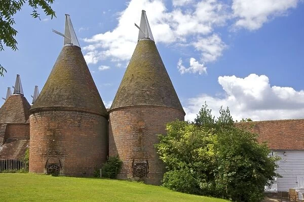 Oast houses (hop kilns) designed for kilning (drying) hops, Sissinghurst, Kent, England, United Kingdom, Europe