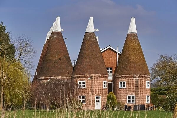 Oast houses, originally used to dry hops in beer-making, converted into farmhouse