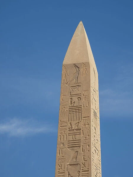 Obelisk of Thutmosis I, Karnak Temple Complex, comprises a vast mix of temples, pylons, and chapels, UNESCO World Heritage Site, near Luxor, Thebes, Egypt, North Africa, Africa