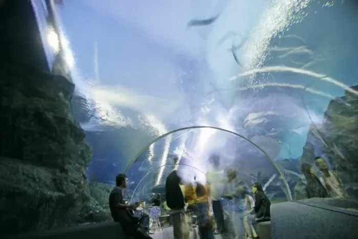 Framed Print : Ocean World Framed Print : Ocean World