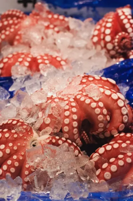 Framed Print : Octopus at Tsukiji fish market, Tokyo, Honshu Island, Japan, Asia Framed Print : Octopus at Tsukiji fish market, Tokyo, Honshu Island, Japan, Asia