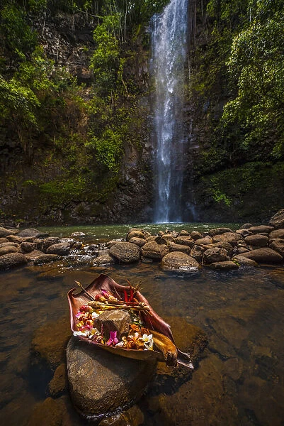 An offering is made to the gods at this sacred pool, Hawaii, United States of America
