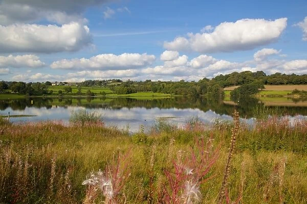 Ogston Reservoir, Derbyshire, England, United Kingdom, Europe