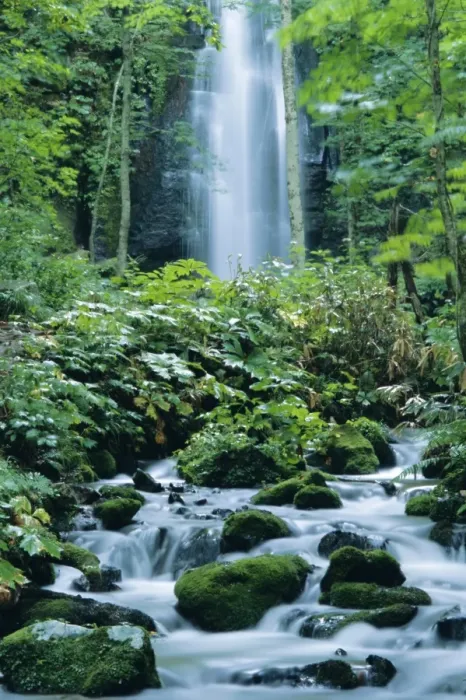 Framed Print : Oirase Valley waterfall Framed Print : Oirase Valley waterfall