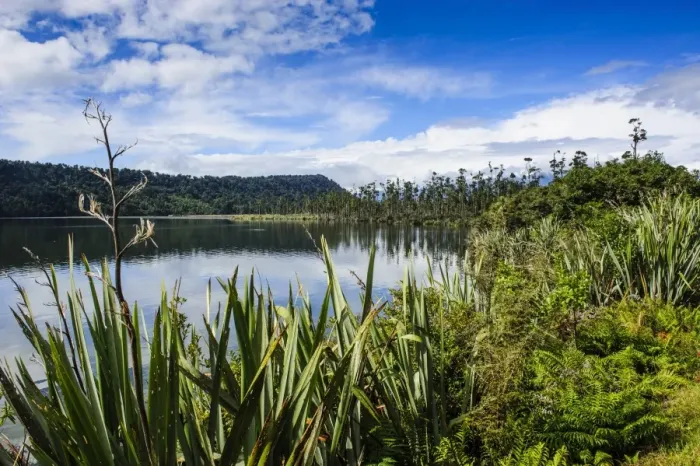 Framed Print : Okarito lagoon, large unmodified wetland along the road between Fox Glacier and Greymouth, South Island, New Zealand, Pacific Framed Print : Okarito lagoon, large unmodified wetland along the road between Fox Glacier and Greymouth, South Island, New Zealand, Pacific