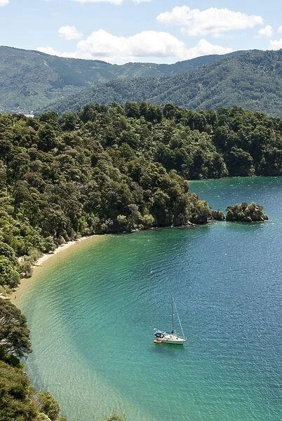 Okiwa Bay, Marlborough Sounds, South Island, New Zealand, Pacific