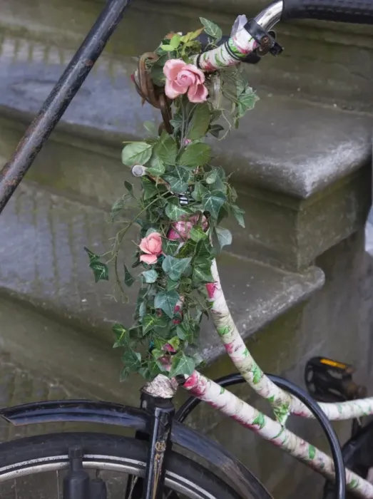Framed Print : Old bicycle with flowers resting against stone steps, Amsterdam, Netherlands, Europe Framed Print : Old bicycle with flowers resting against stone steps, Amsterdam, Netherlands, Europe