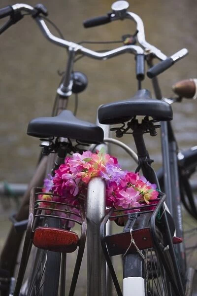 Old bicycles and flower chain, Amsterdam, Netherlands, Europe
