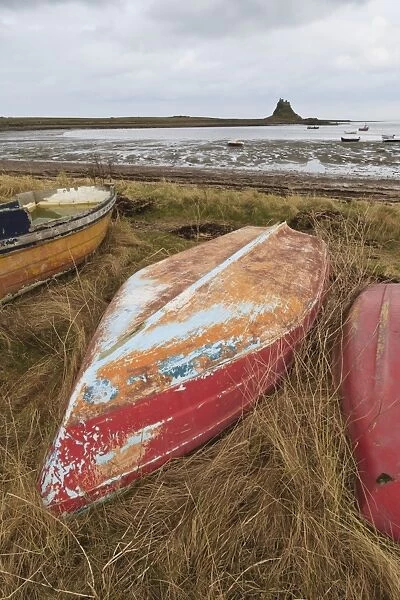 Old brightly painted fishing boats and Lindisfarne Castle in winter, Holy Island, Northumberland, England, United Kingdom, Europe