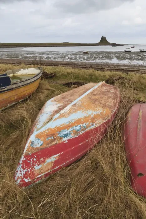 Framed Print : Old brightly painted fishing boats and Lindisfarne Castle in winter, Holy Island, Northumberland, England, United Kingdom, Europe Framed Print : Old brightly painted fishing boats and Lindisfarne Castle in winter, Holy Island, Northumberland, England, United Kingdom, Europe