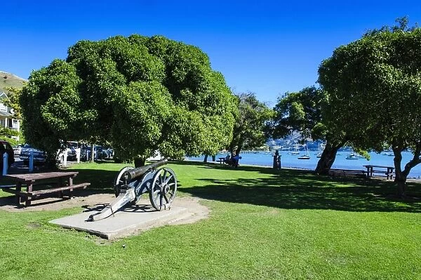 Old cannon in a park in Akaroa, Banks Peninsula, Canterbury, South Island, New Zealand, Pacific