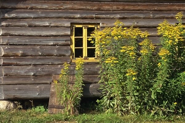 Old Estonian house, Folklore Park, near Tallinn, Estonia, Baltic States, Europe