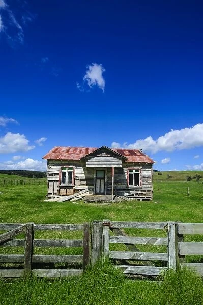 Old farming cottage, West coast, Northland, North Island, New Zealand, Pacific