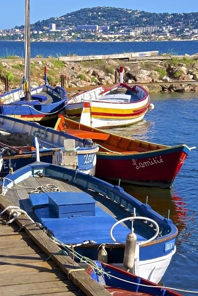 Old fishing boats, Etang de Thau Museum, Bouzigues, Thau basin, Sete town in the background, Herault, Languedoc, France, Europe