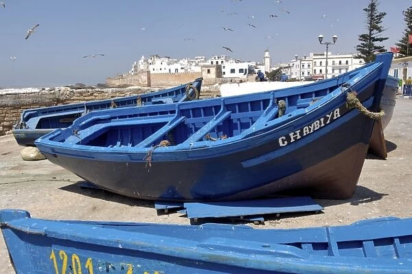 The old fishing port, Essaouira, historic city of Mogador, Morocco, North Africa, Africa