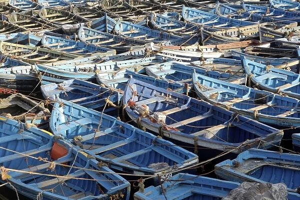 The old fishing port, Essaouira, Morocco, North Africa, Africa