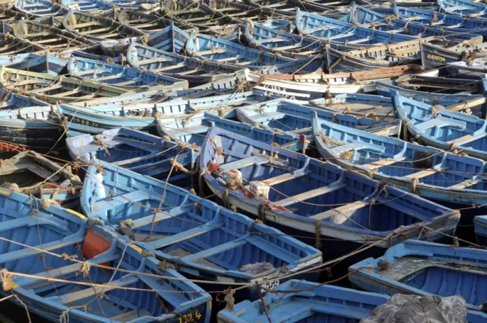 Framed Print : The old fishing port, Essaouira, Morocco, North Africa, Africa Framed Print : The old fishing port, Essaouira, Morocco, North Africa, Africa