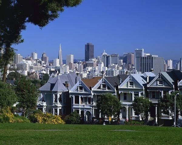 Old houses known as the Painted Ladies on Steiner Street, with the city skyline in the background