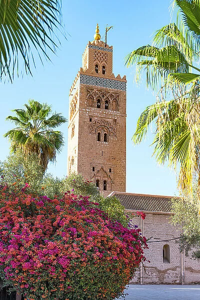Old minaret tower of Koutoubia Mosque, UNESCO World Heritage Site, framed by flowers in spring, Marrakech, Morocco, North Africa, Africa