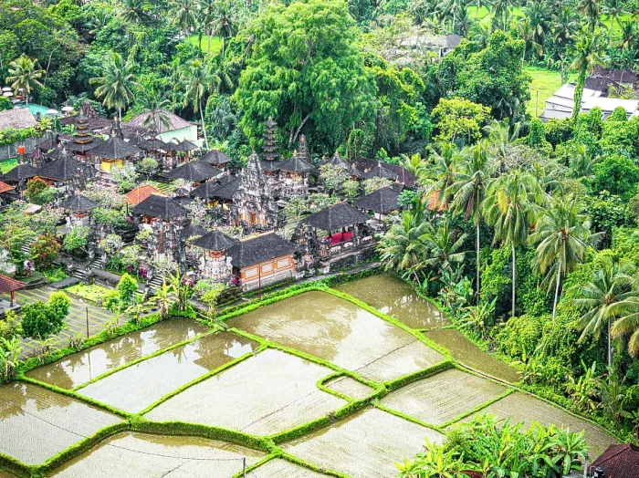 Framed Print : Old pagodas of a temple surrounding the paddy fields in a tropical rainforest, aerial view, Ubud, Bali, Indonesia Framed Print : Old pagodas of a temple surrounding the paddy fields in a tropical rainforest, aerial view, Ubud, Bali, Indonesia