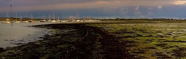 The Old Road, Emsworth, Chichester Harbour, West Sussex, England, United Kingdom, Europe