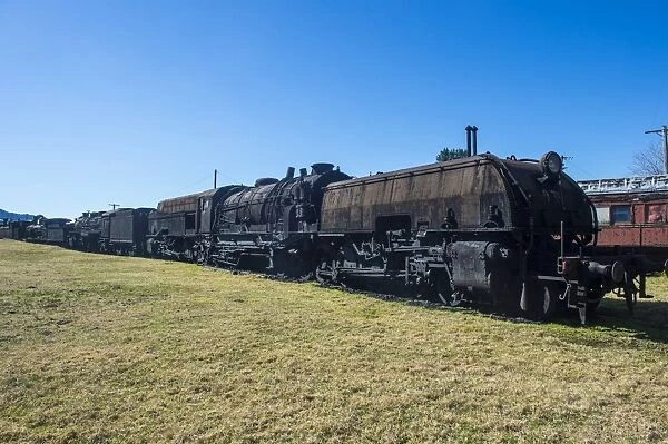 Old steam trains from the Dorrigo railway line, Dorrigo National Park, New South Wales