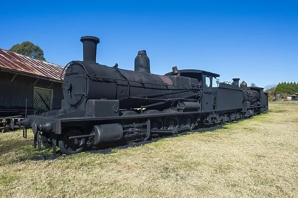 Old steam trains from the Dorrigo railway line, Dorrigo National Park, UNESCO World Heritage Site