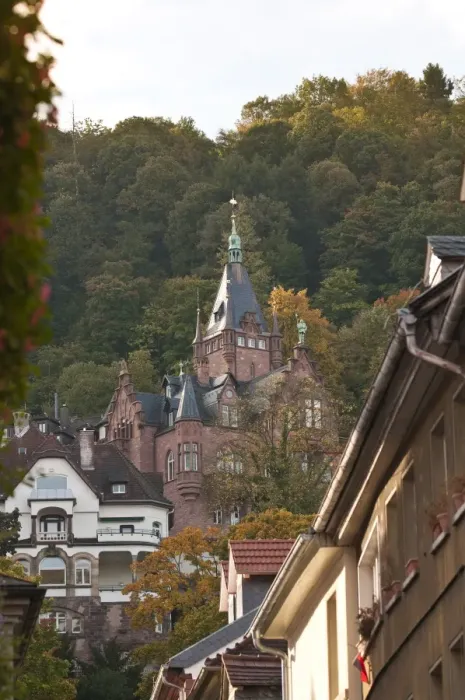 Framed Print : Old Town, Heidelberg, Baden-Wurttemberg, Germany, Europe Framed Print : Old Town, Heidelberg, Baden-Wurttemberg, Germany, Europe