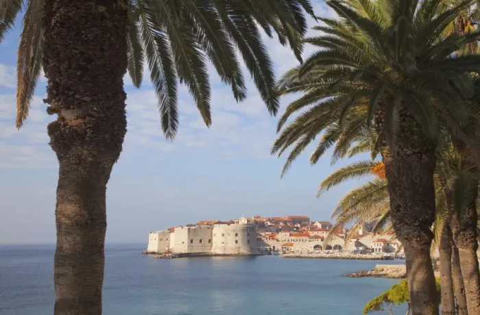 Framed Print : Old Town through palm trees, Dubrovnik, Croatia, Europe Framed Print : Old Town through palm trees, Dubrovnik, Croatia, Europe
