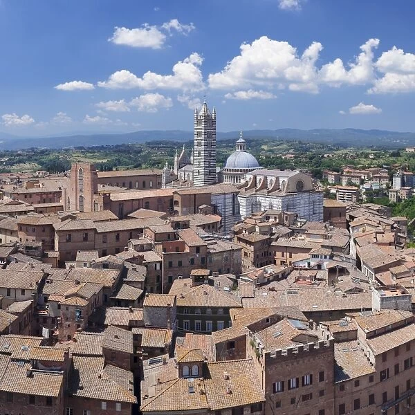 Old town with Santa Maria Assunta Cathedral, Siena, UNESCO World Heritage Site, Siena Province