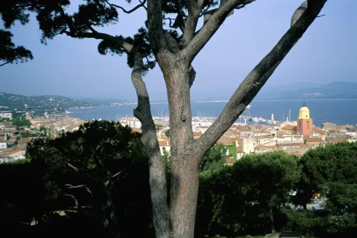 Framed Print : Old town seen from the Citadelle, Presqu ile de St. Tropez, Var, Cote d Azur Framed Print : Old town seen from the Citadelle, Presqu ile de St. Tropez, Var, Cote d Azur