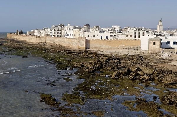 Old waterfront city behind ramparts, Essaouira, historic city of Mogador
