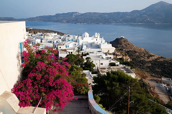 Old white town of Plaka and Milos Bay with colourful bougainvillea, Plaka, Milos