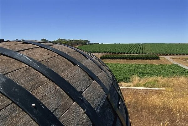 Old wine barrel, Maxwell Wines, McLaren Vale, South Australia, Australia, Pacific
