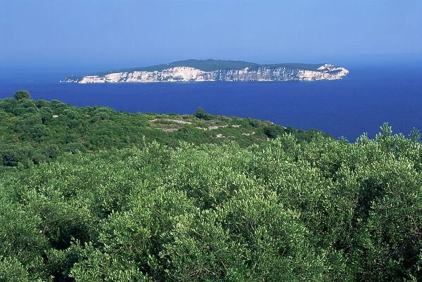 Olive groves and the island of Anti-Paxos seen from Paxos, Greek Islands, Greece, Europe