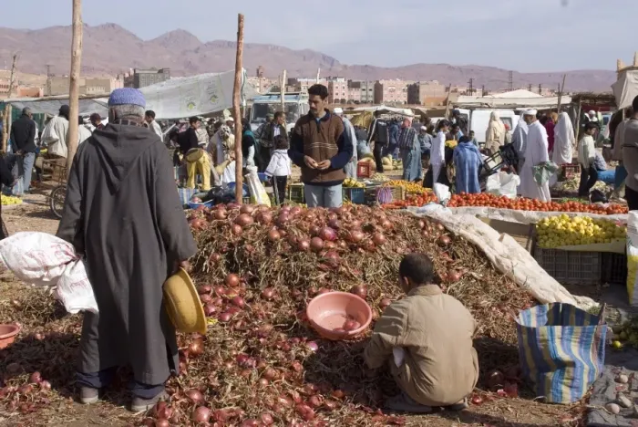 Framed Print : Onions at the weekly market, Tinnerhir, Morocco, North Africa, Africa Framed Print : Onions at the weekly market, Tinnerhir, Morocco, North Africa, Africa