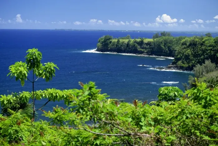 Framed Print : Onomea Bay by the Pepeekeo Four-Mile scenic drive on Framed Print : Onomea Bay by the Pepeekeo Four-Mile scenic drive on