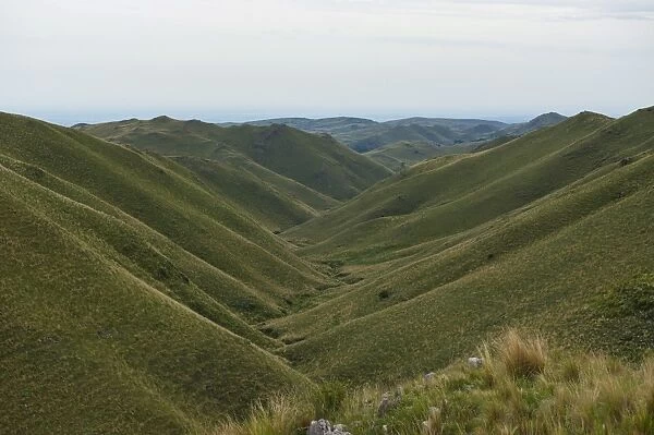 Open green field in the Pre-Cordillera north of Cordoba, Argentina, South America