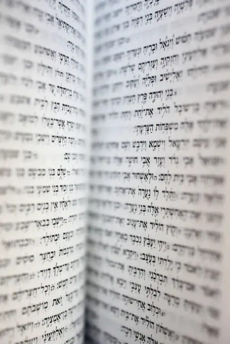 Framed Print : Open Torah, Paris, France, Europe Framed Print : Open Torah, Paris, France, Europe