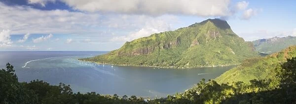 Opunohu Bay, Mo orea, Society Islands, French Polynesia, South Pacific, Pacific