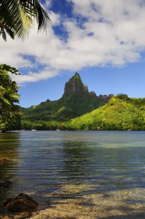 Framed Print : Opunohu Bay and Mount Mauaroa, Moorea, French Polynesia, South Pacific Ocean, Pacific Framed Print : Opunohu Bay and Mount Mauaroa, Moorea, French Polynesia, South Pacific Ocean, Pacific