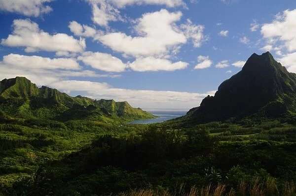 Opunohu Valley and Mount Rotui, Moorea, French Polynesia, South Pacific Ocean, Pacific