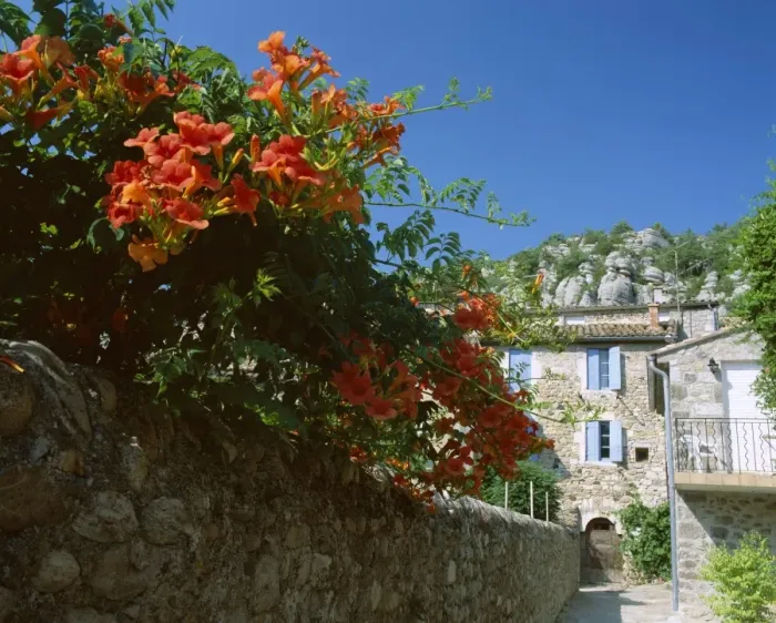 Framed Print : Orange flowers overhanging narrow village street, Vogue, Ardeche, Rhone-Alpes Framed Print : Orange flowers overhanging narrow village street, Vogue, Ardeche, Rhone-Alpes